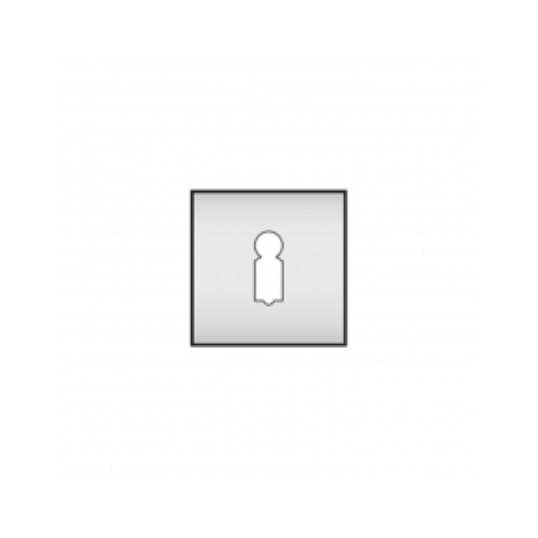 Square Keyhole Escutcheon